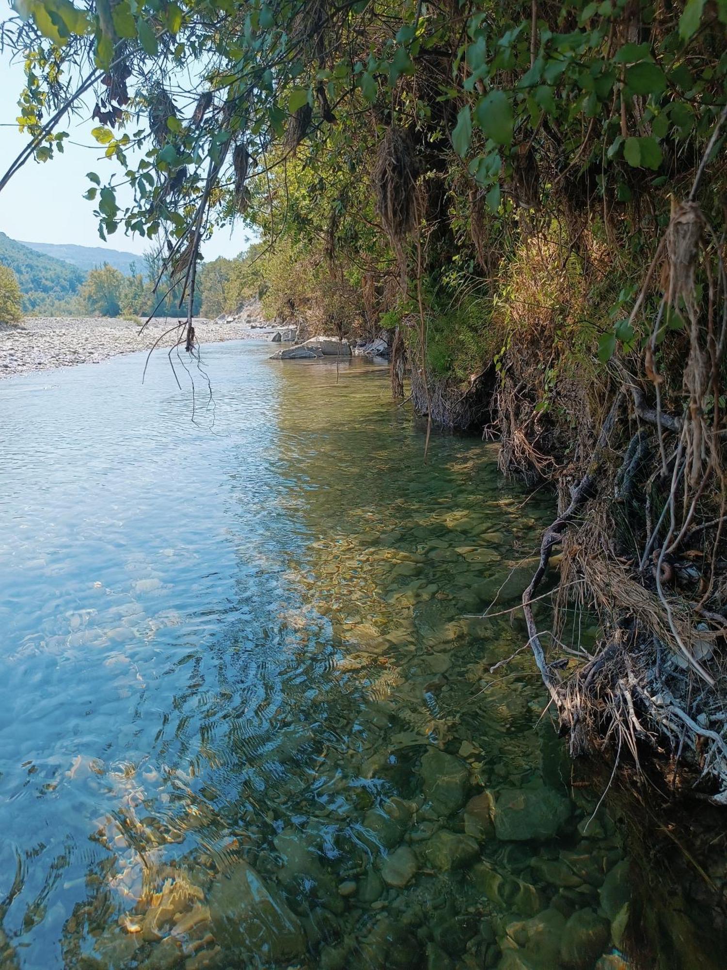 Il Nido Di Matilde _Monolocale Design Sul Fiume_ Lägenhet Rossena Exteriör bild
